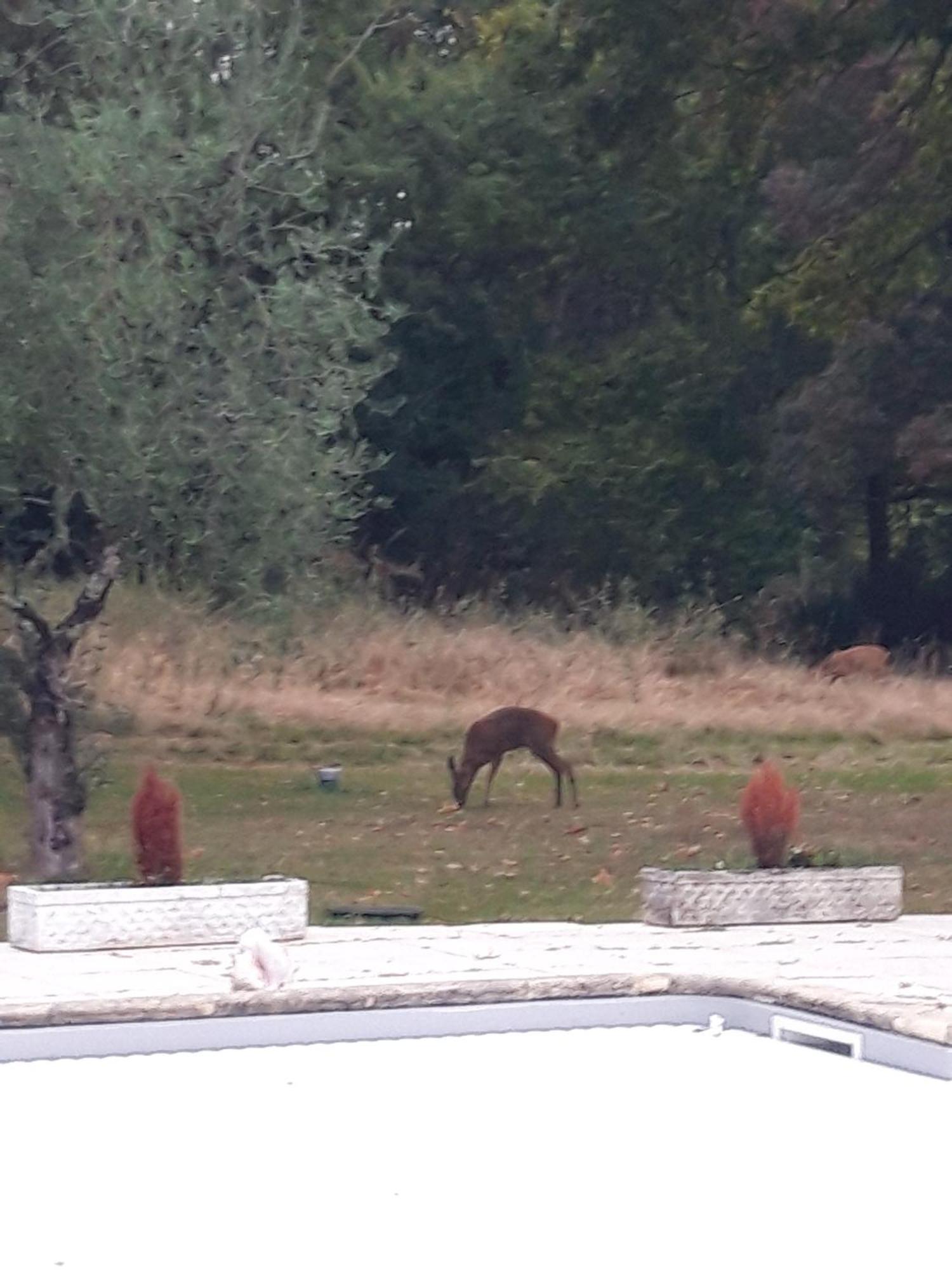 מלון Fontcouverte  Domaine Fontcouverte מראה חיצוני תמונה