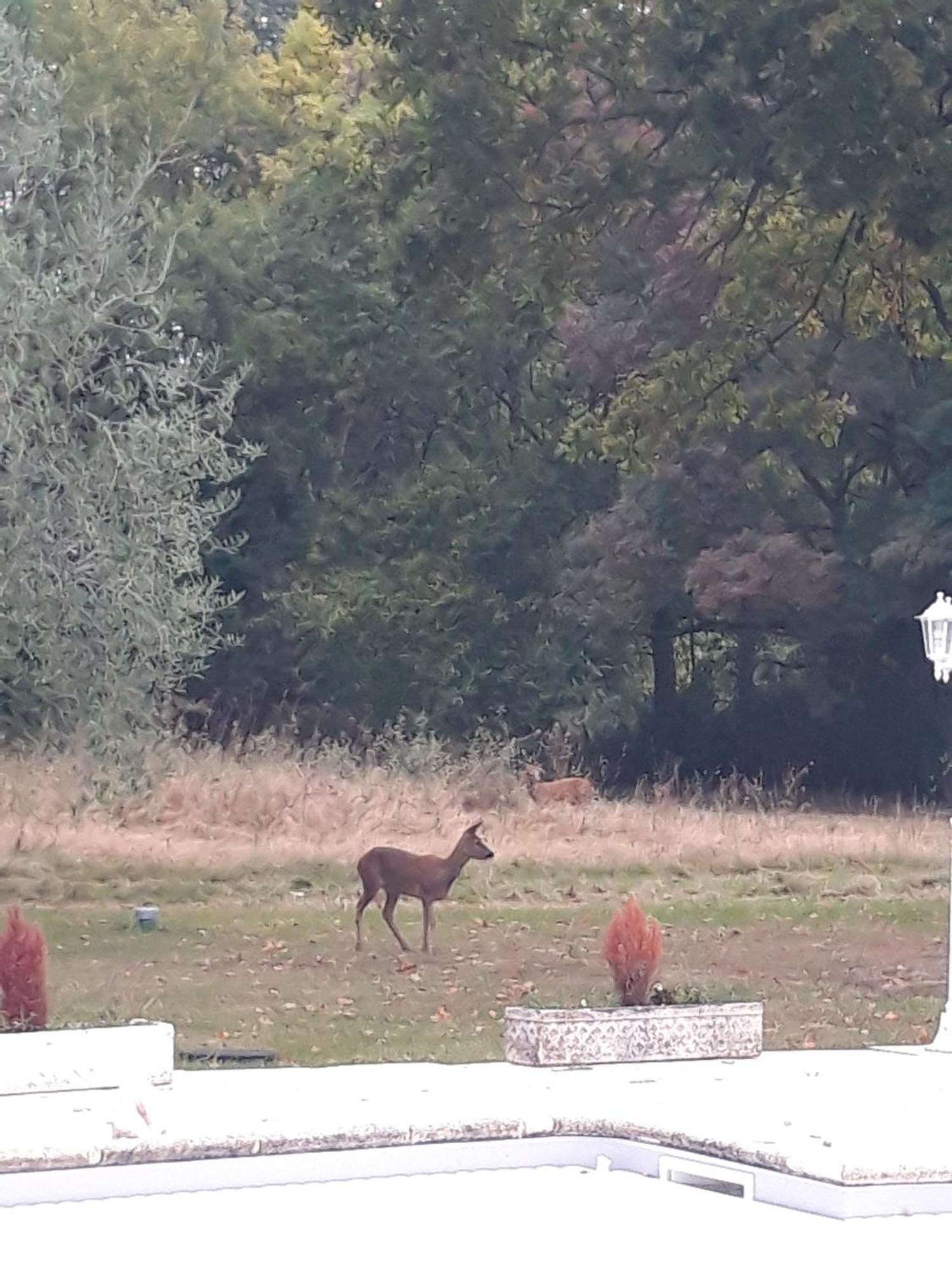 מלון Fontcouverte  Domaine Fontcouverte מראה חיצוני תמונה